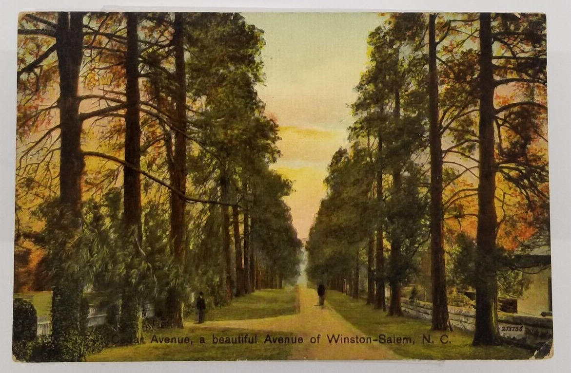 NORTH CAROLINA Winston Salem Cedar Avenue Antique c1912 NC Postcard