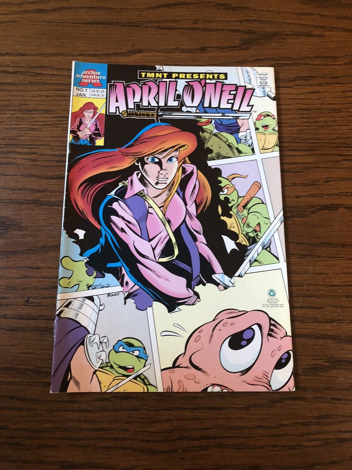 Teenage Mutant Ninja Turtles Present: April O\'Neil #1  Archie comics 