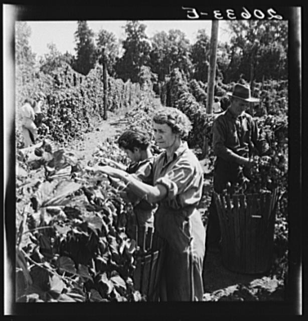 Independence,Oregon,OR,Polk County,Farm Security Administration,1939,FSA,2