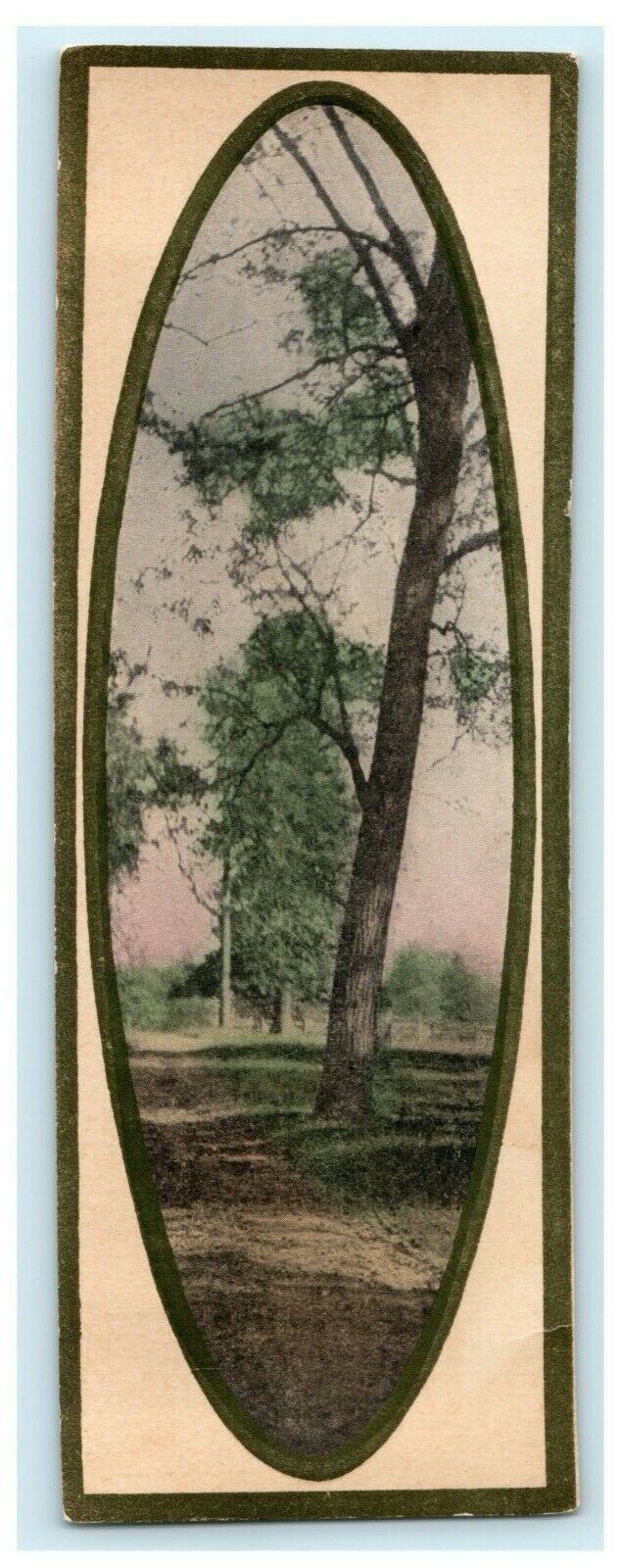 Bookmark Sized Amelia Ohio Franklin Grove Illinois 1910 Antique Postcard
