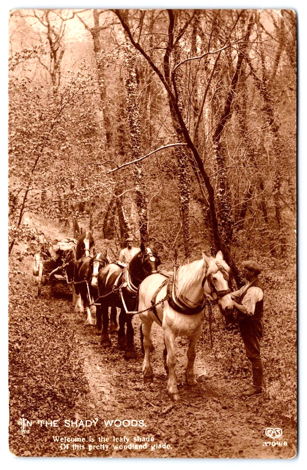 Postcard RPPC Woodland, Farmer Hauling w/4 Horse In-line Hitch High Detail A13