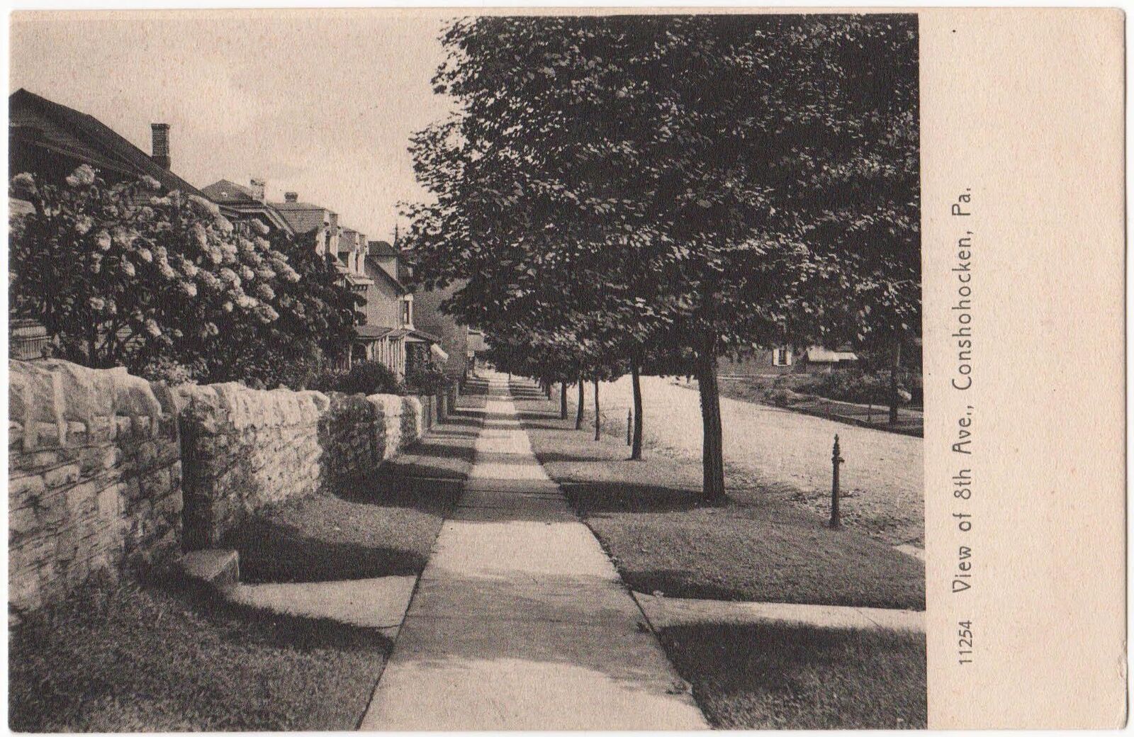 ca 1901-1907 Conshohocken PA - View of 8th Ave