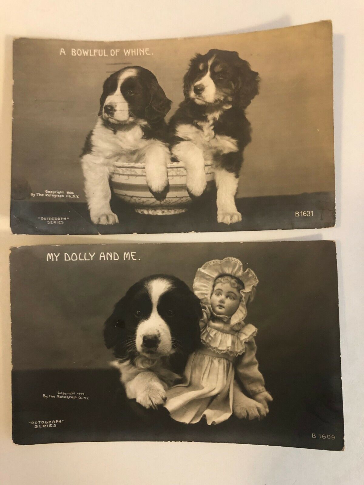 RPPC Real Photos of 2 Dogs in a Bowl & Dog with Doll, Set of 2 Rotograph ANTIQUE