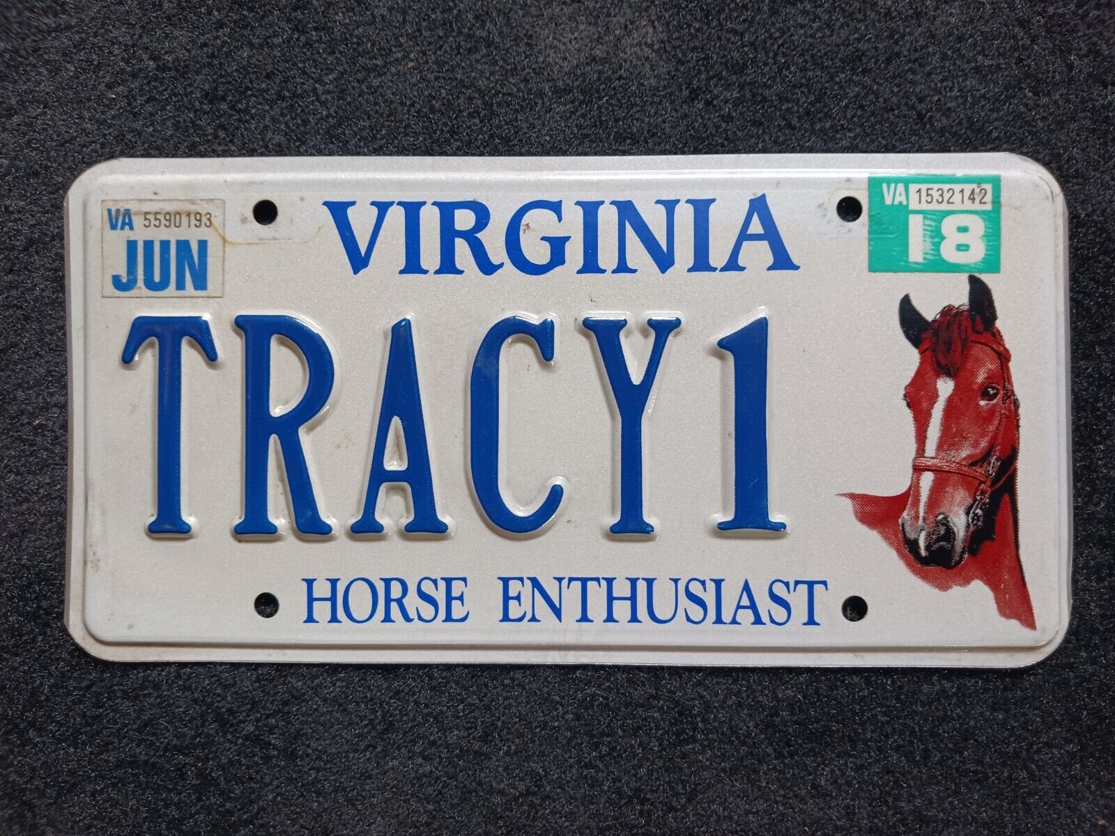 2018 Virginia Horse Enthusiast TRACY1 Personalized Vanity License Plate
