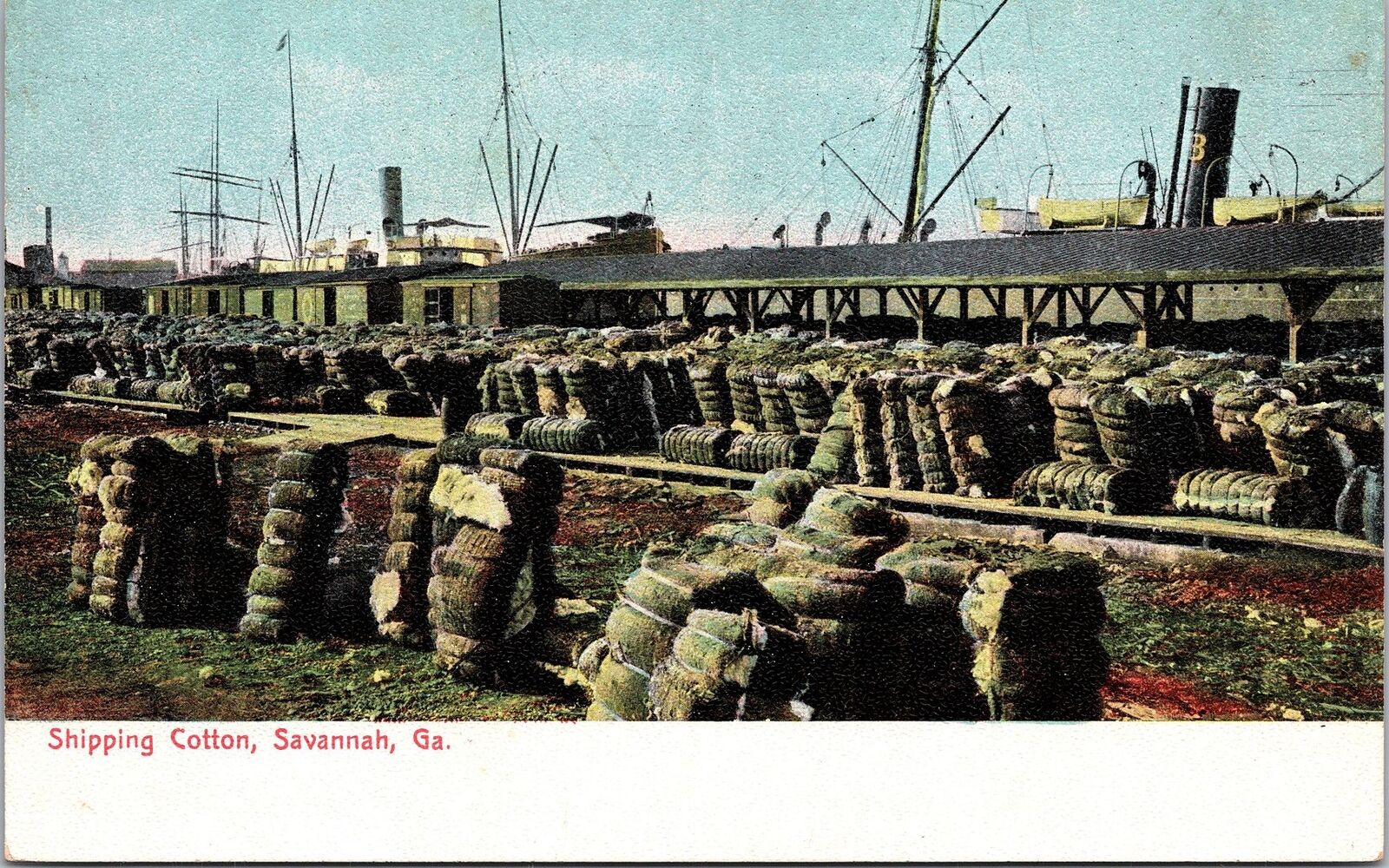 SAVANNAH GA - Shipping Cotton Postcard - udb (pre 1908)