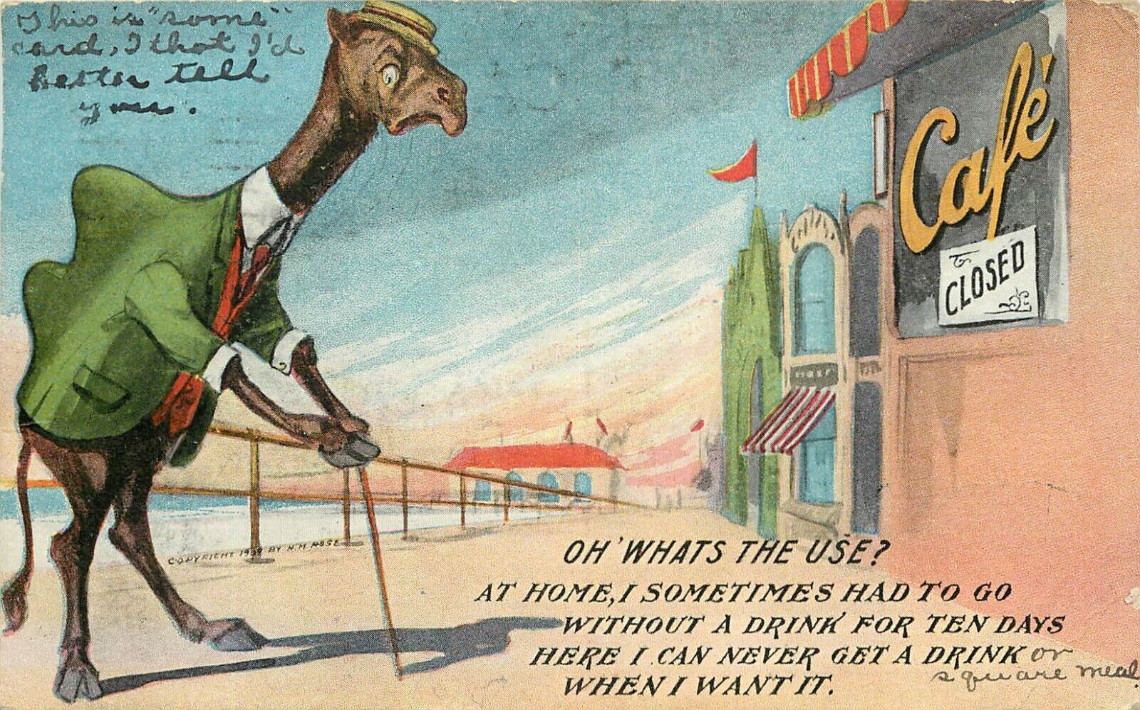 Temperance Postcard; Dressed Camel goes without a Drink at Home & Cafe is Closed