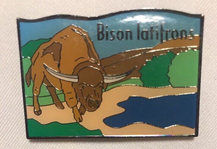 Vintage Bison latifrons Enamel Magnet. Pleistocene La Brea Tar Pits New NHM