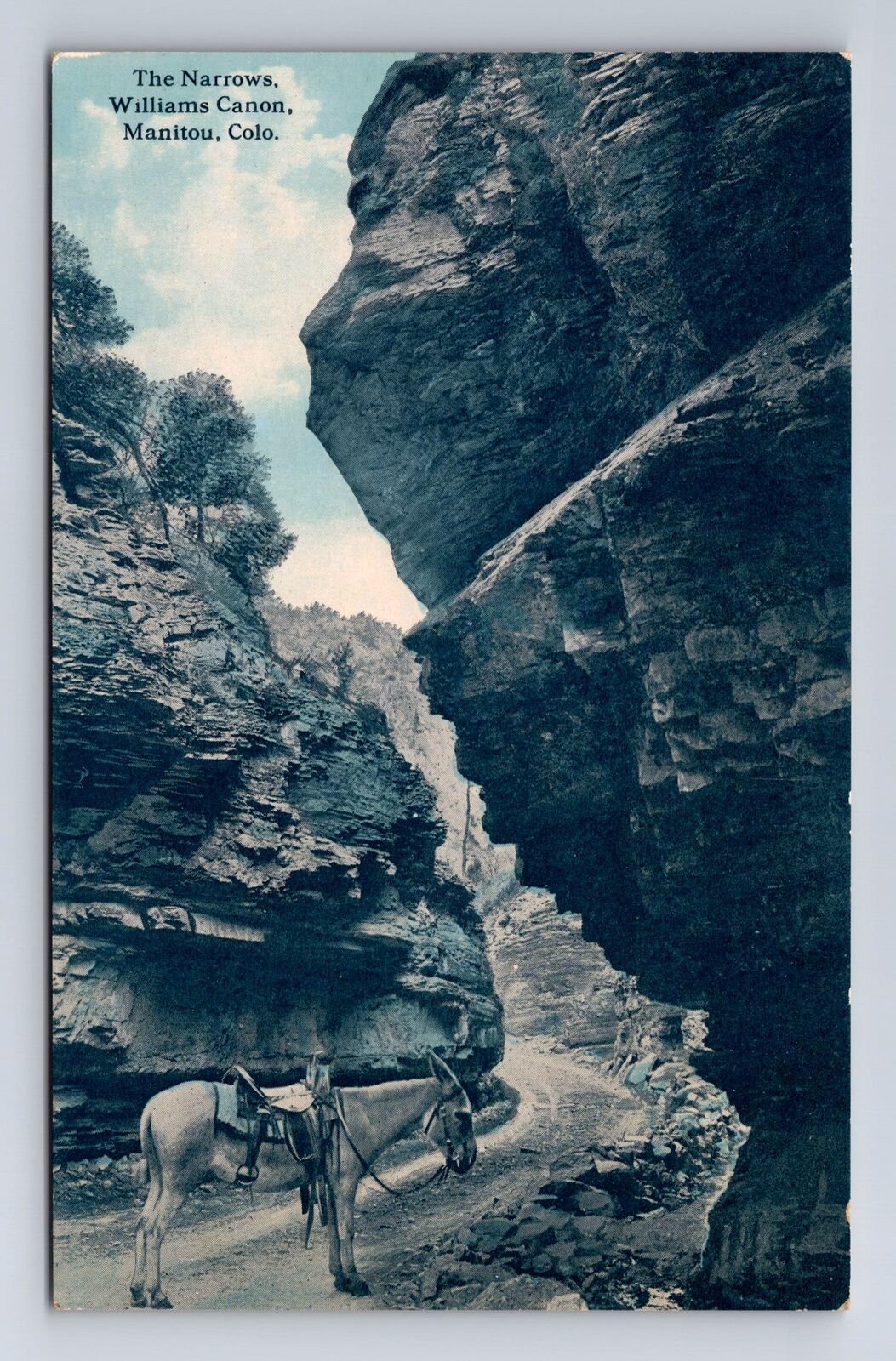 Manitou CO-Colorado, Williams Canon, The Narrows, Antique Vintage Postcard