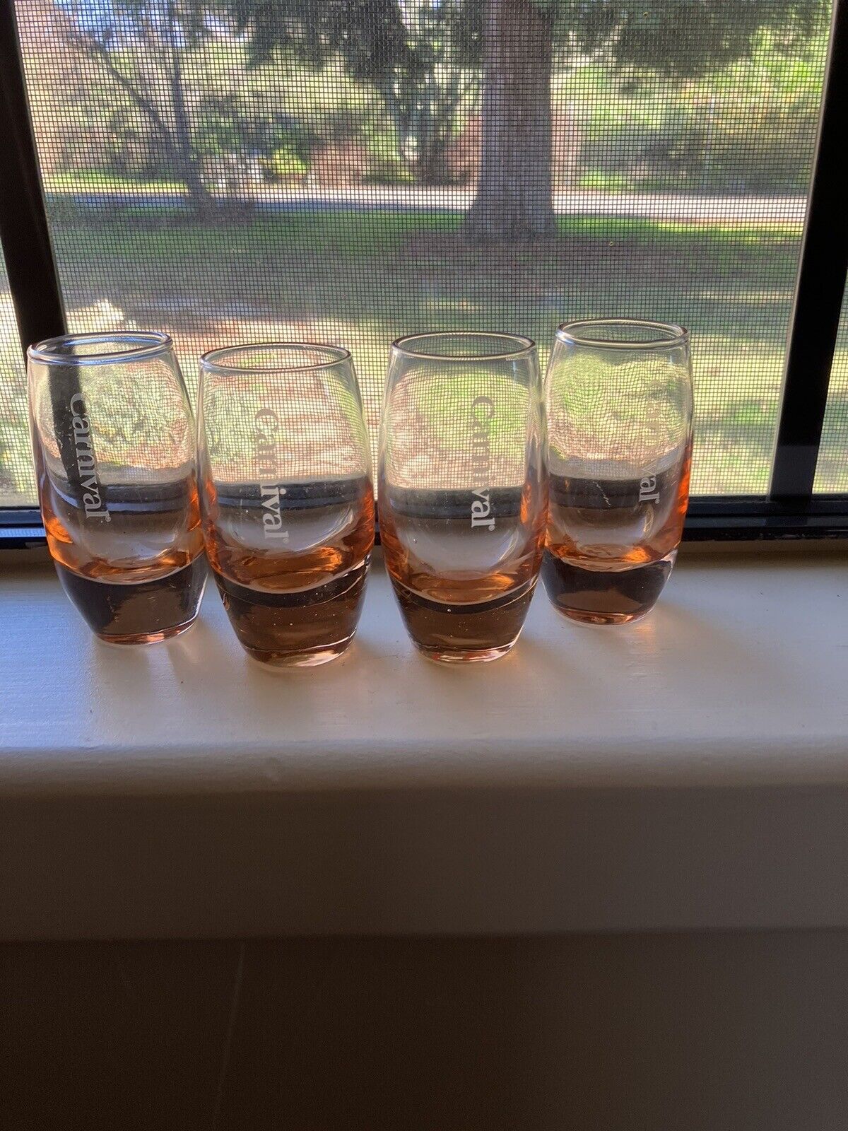 Carnival Cruise Line Peach Pink Ombre Shot Glasses 3.75\