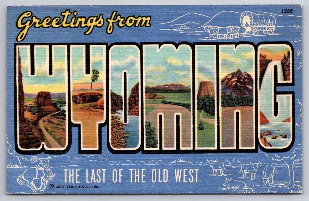 eStampsNet - Wyoming Large Letter Last of the Old West Postcard