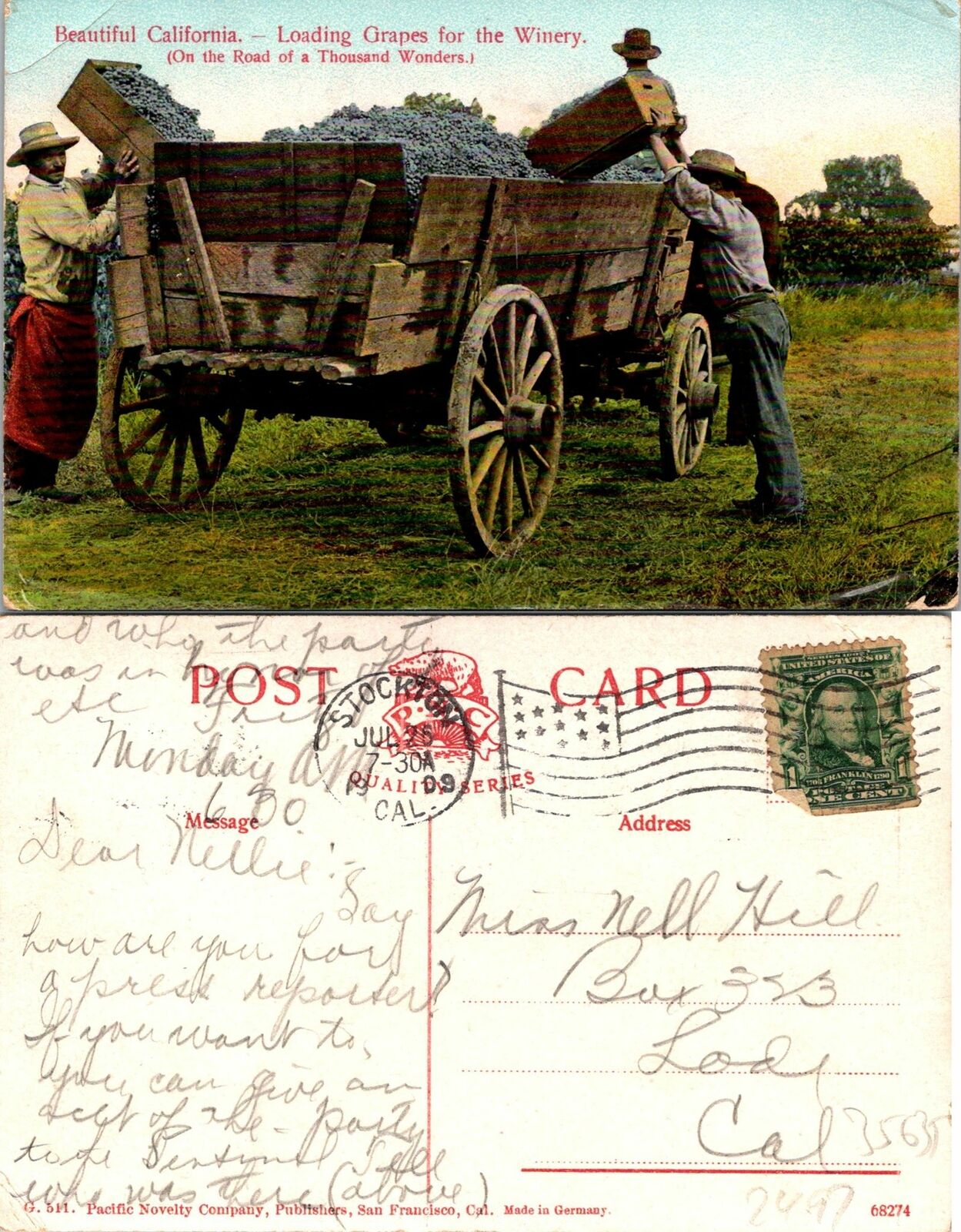 Beautiful CA Loading Grapes for Winery Postcard Used (35635)