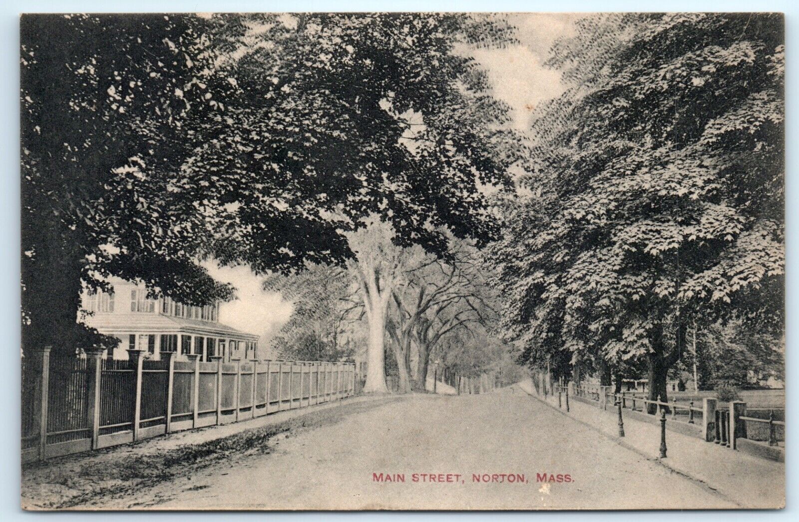 POSTCARD Main Street Norton Massachusetts 1910 Tree Lined Horse Hitches