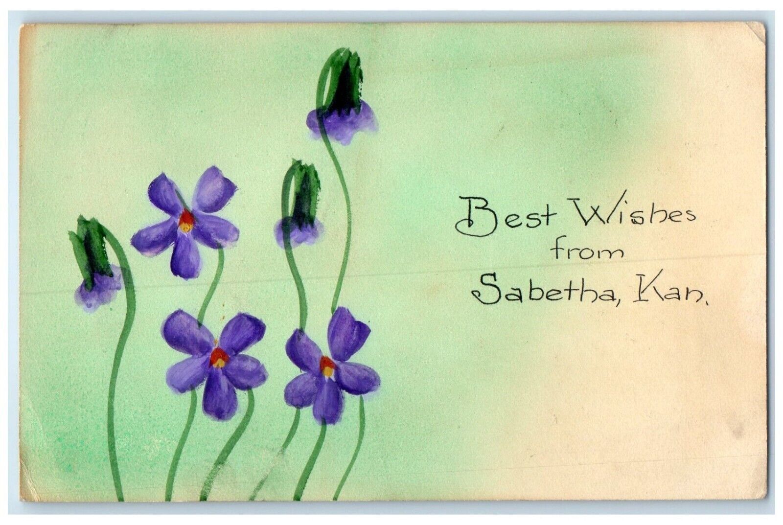 1909 Best Wishes From Sabetha Kansas KS Flowers Hand Painted Art Posted Postcard