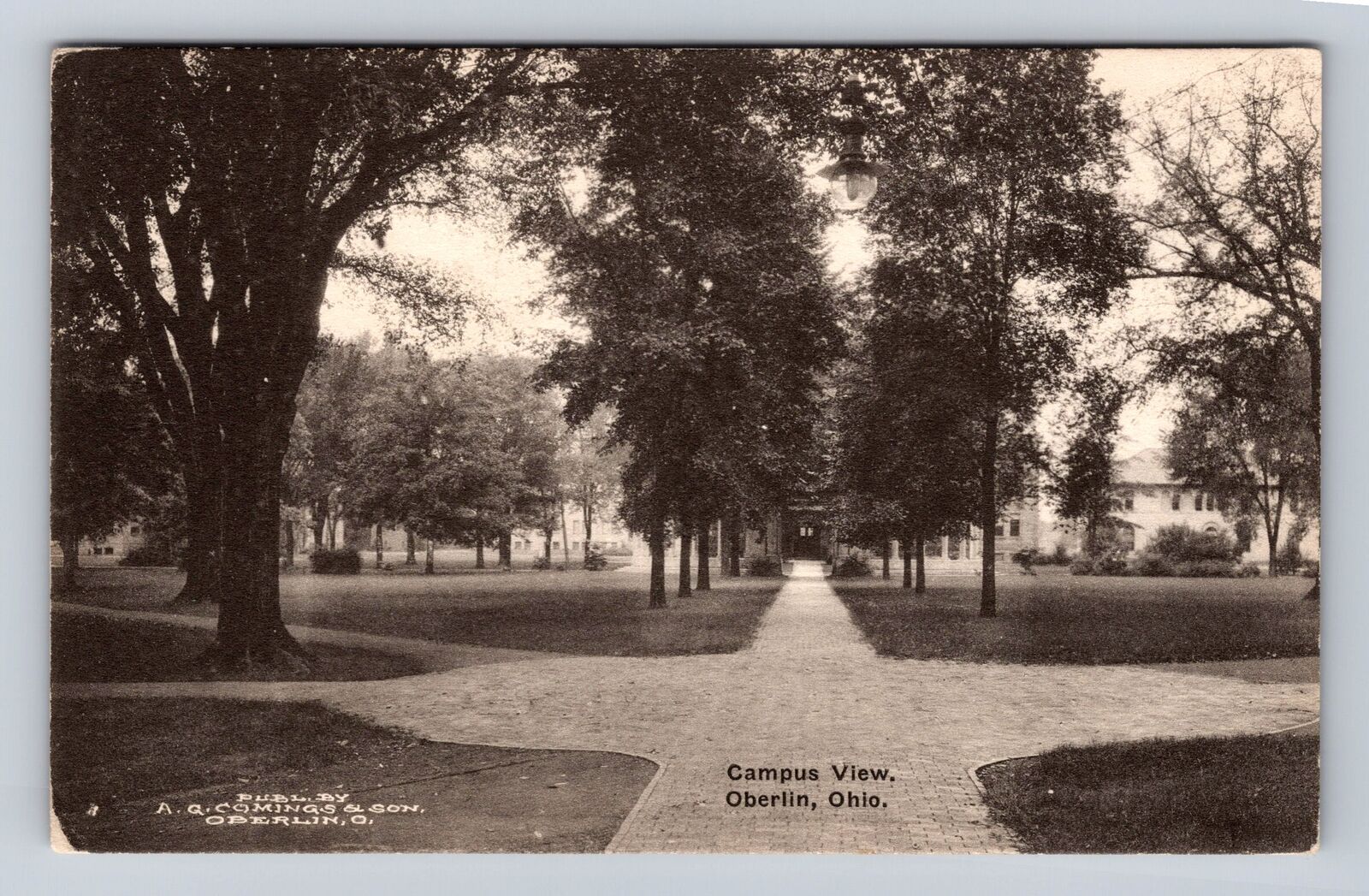 Oberlin OH-Ohio, Oberlin College, Scenic Campus View, Vintage Souvenir Postcard