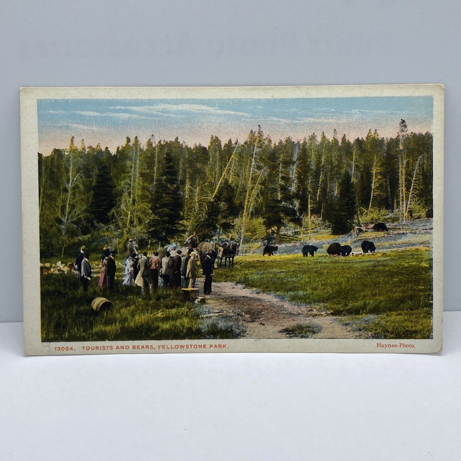Yellowstone National Park Sightseeing Tourists And Bears Series 13054 Postcard