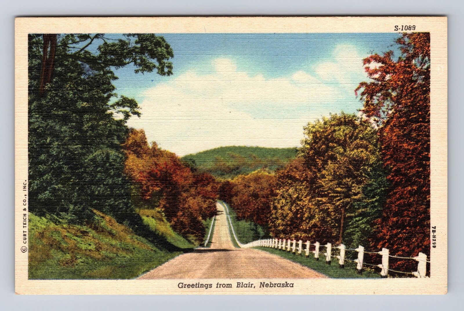 Blair NE-Nebraska, Scenic Greeting, Scenic Fall Colors Antique Vintage Postcard
