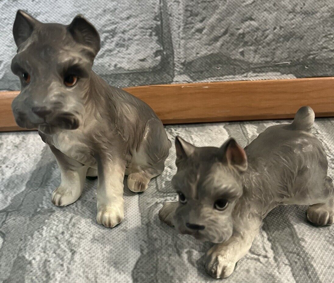 Two realistic Schnauzer Dog  puppy Figurines porcelain