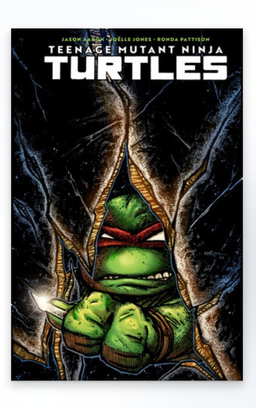 Teenage Mutant Ninja Turtles (2024) #1 IDW Variant C Eastman Presale 7/25