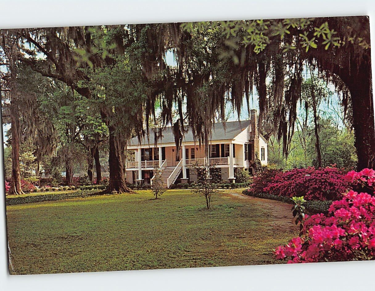 Postcard Carolina Low Country Plantation Florence South Carolina USA