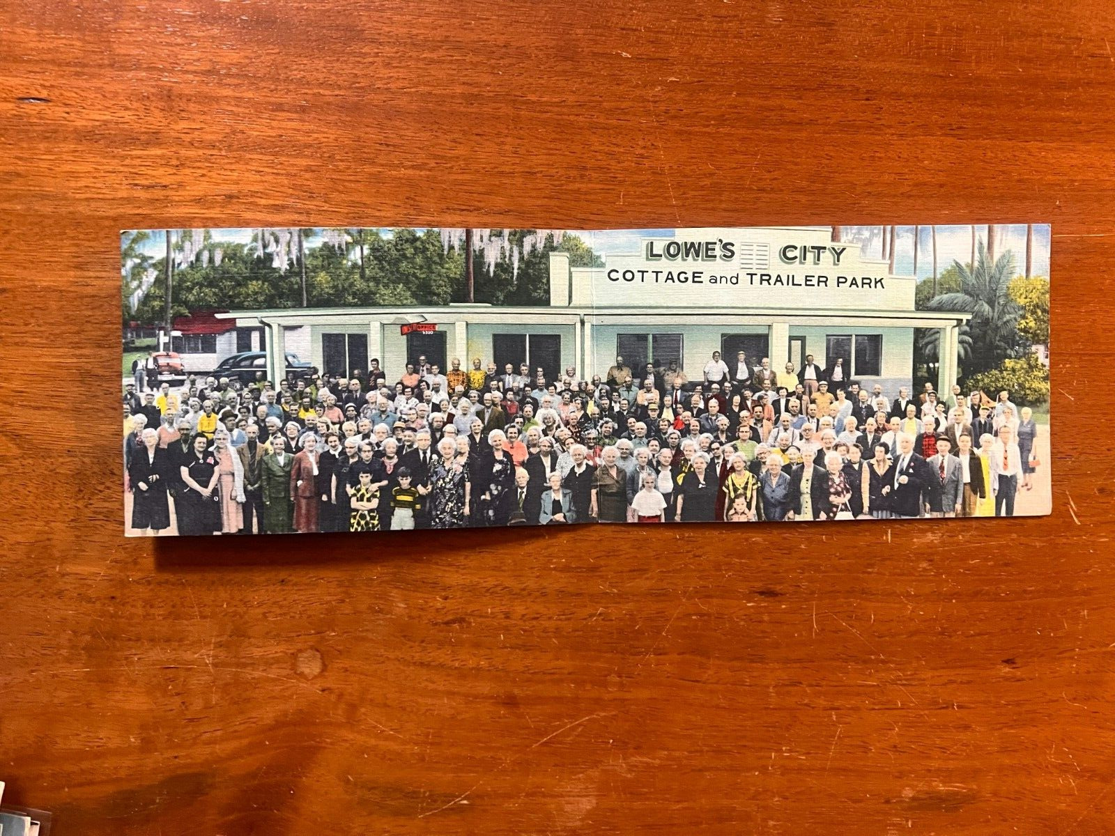 Vintage Post Card St. Petersburg, FL  - Lowes City Cottage and Trailer Park