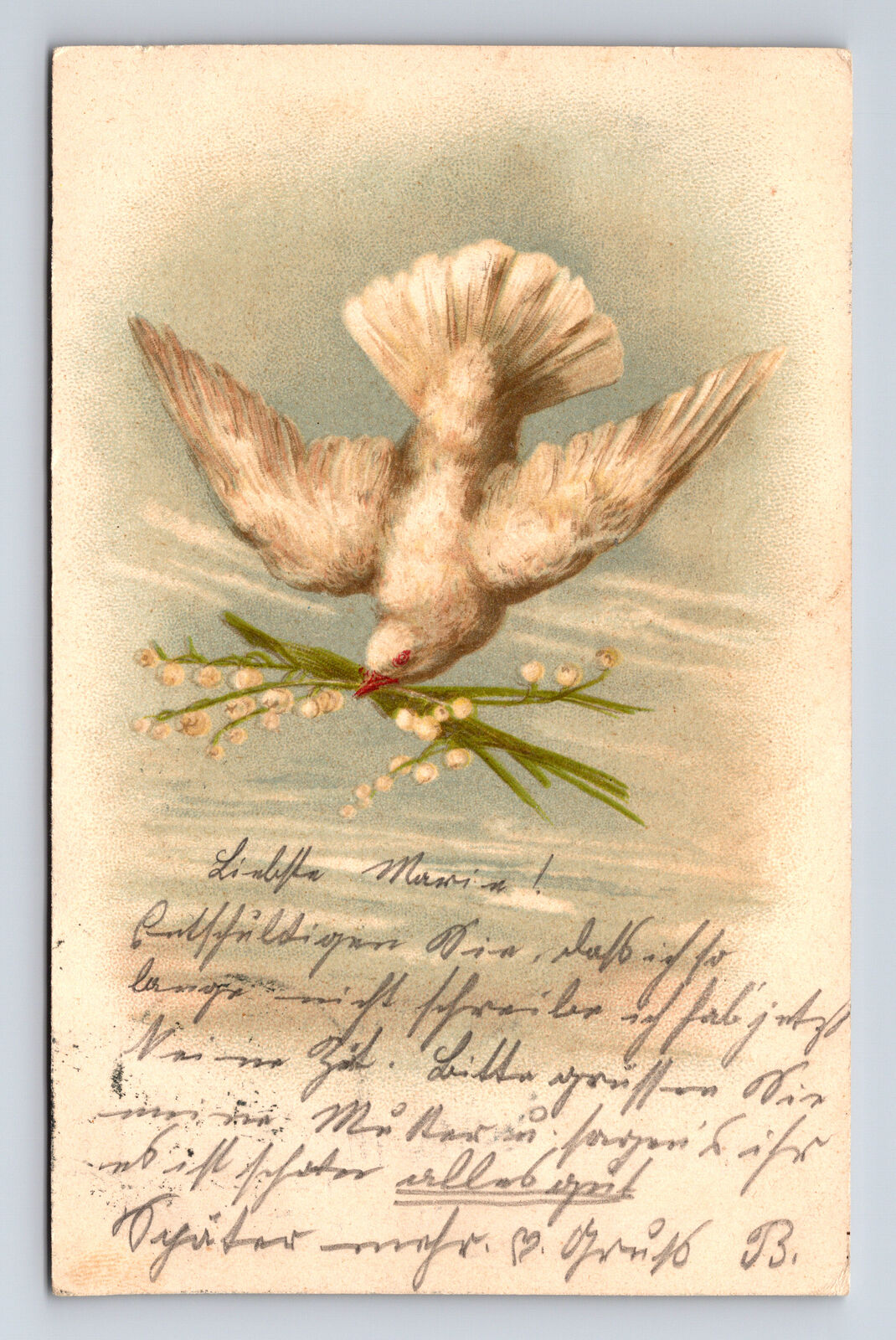 1901 German White Dove Flowers Greeting Postcard