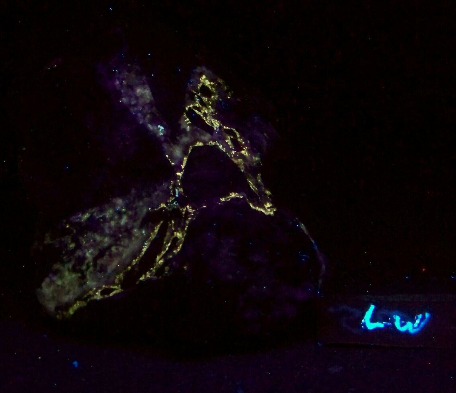 Fluorescent Piece of AZ Yellow Fluorescing Calcite SW UV Specimen