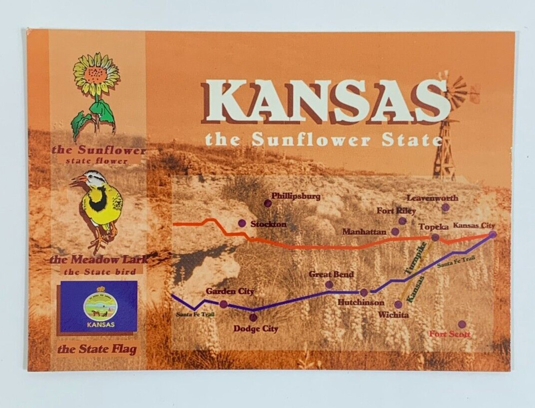 Greetings from Kansas the Sunflower State Postcard Unposted