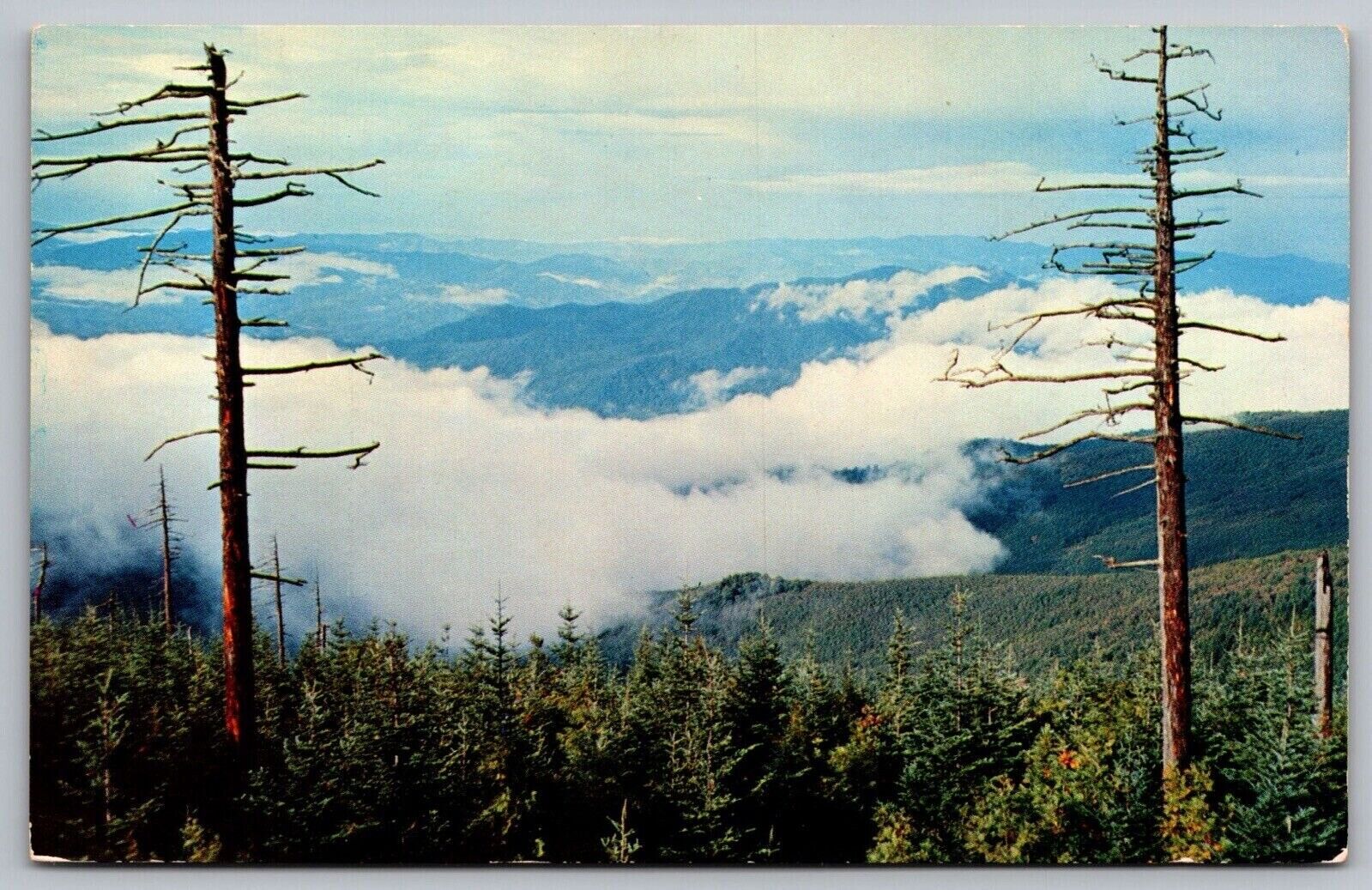 Above Clouds Clingmans Dome Great Smoky Mountains National Park VNG UNP Postcard