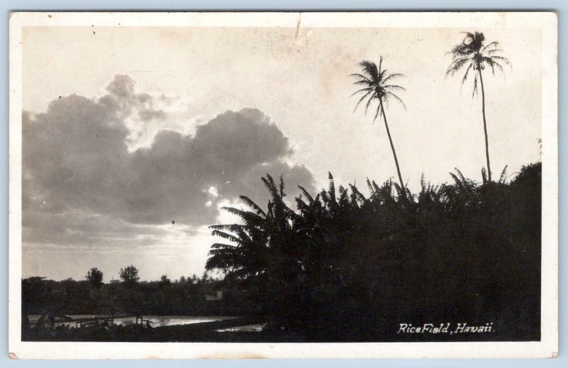 1924-1949 ERA RPPC RICE FIELD PALM TREESHAWAII REAL PHOTO POSTCARD AZO STAMP BOX