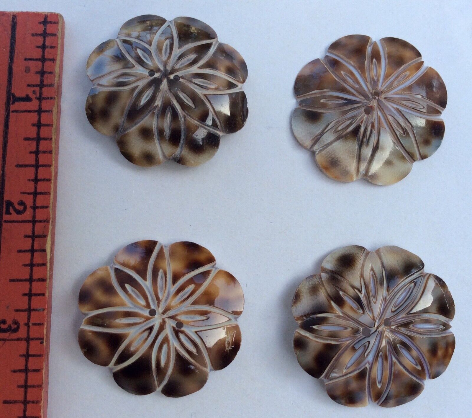 4p 38mm Focal Hand Carved Realistic Sew Thru Spotted Cowrie Shell FLOWER Buttons