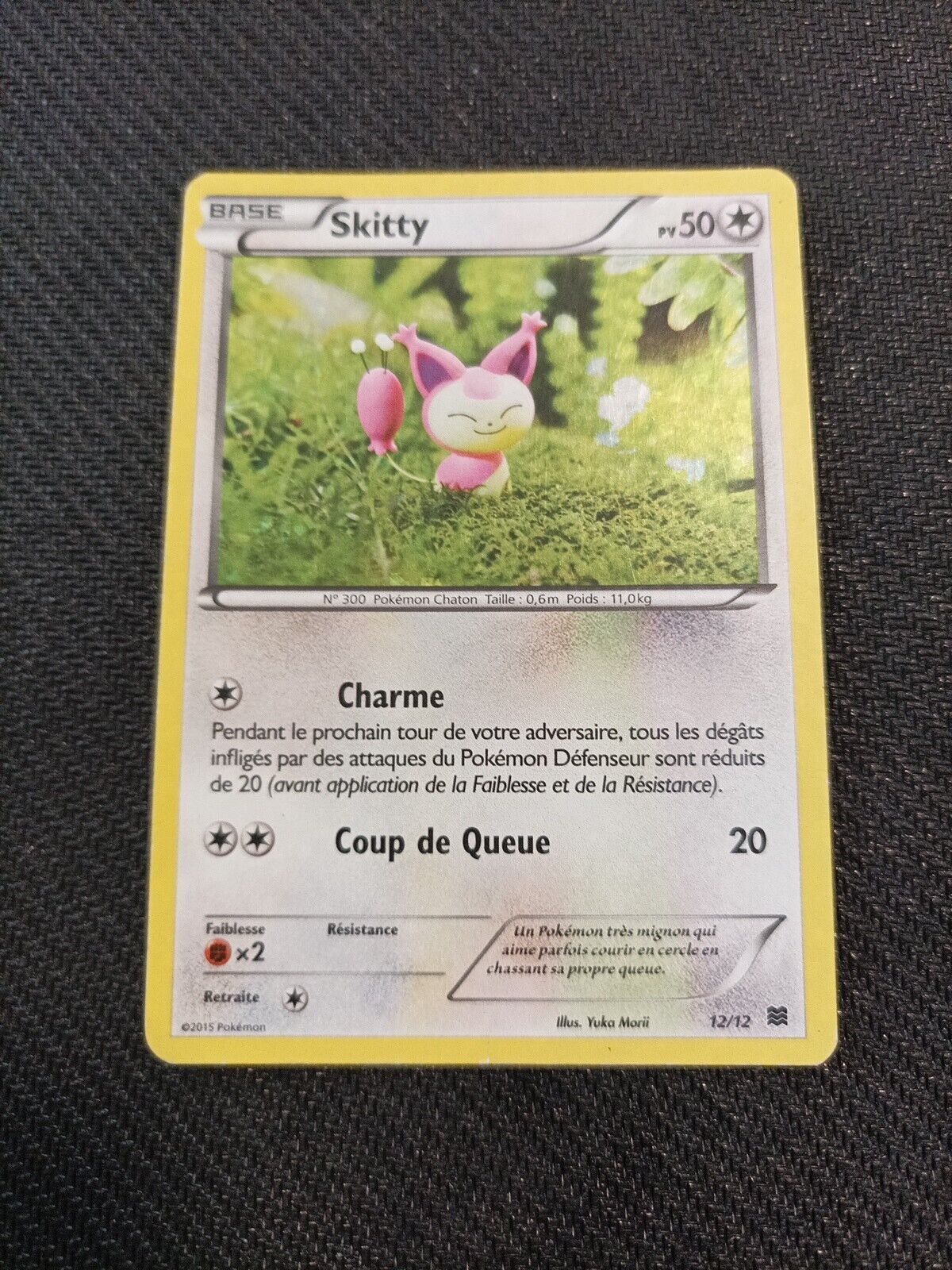 2015 Pokemon Card Skitty 12/12 Holo Macdonald