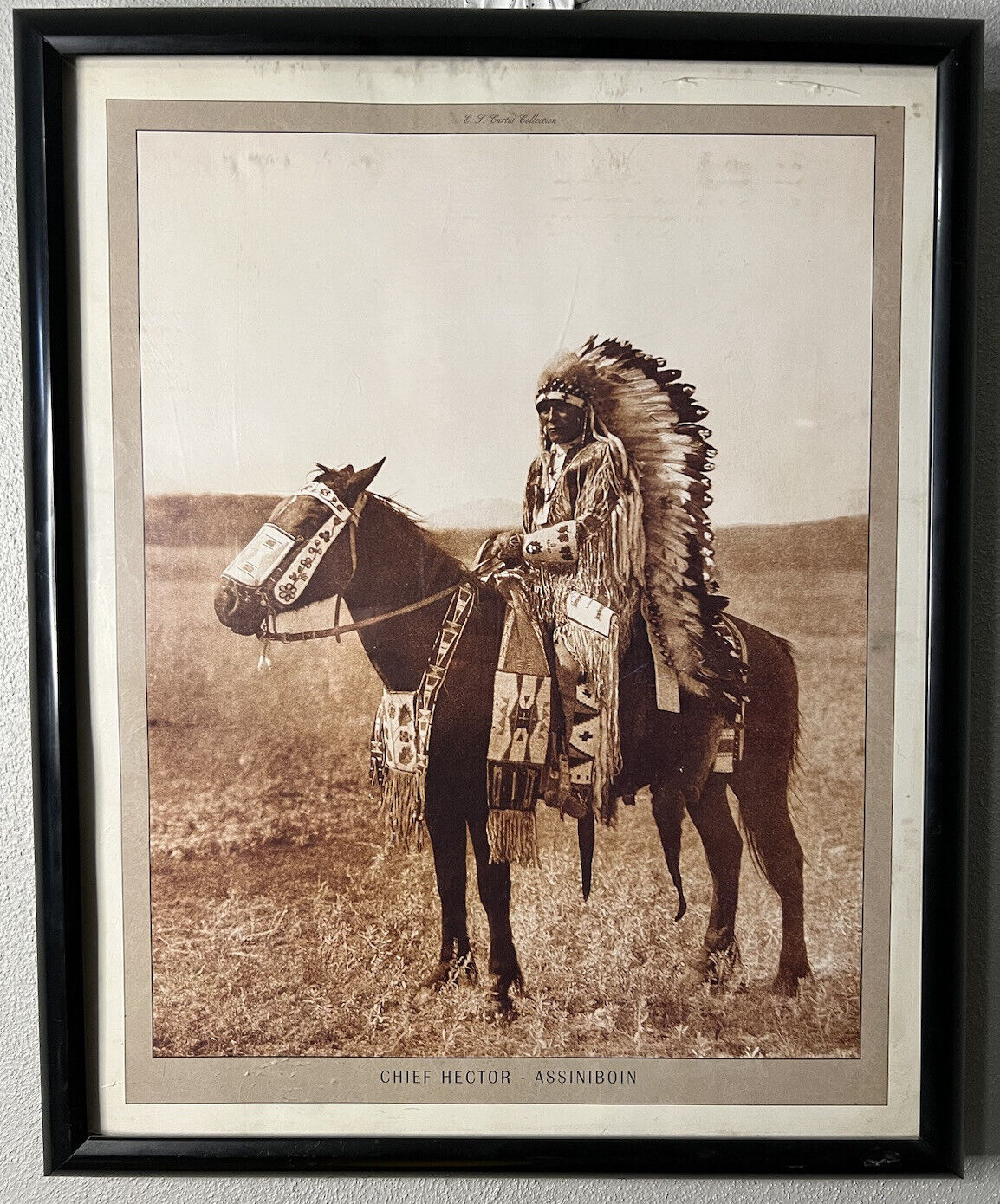 Chief Hector Assiniboin 1908 Native American Indian Reprint 16X20 Edward Curtis