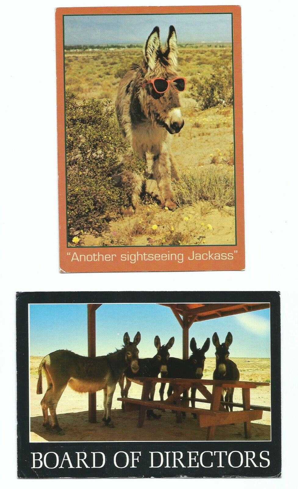 2 Donkey Comic Postcards Humor