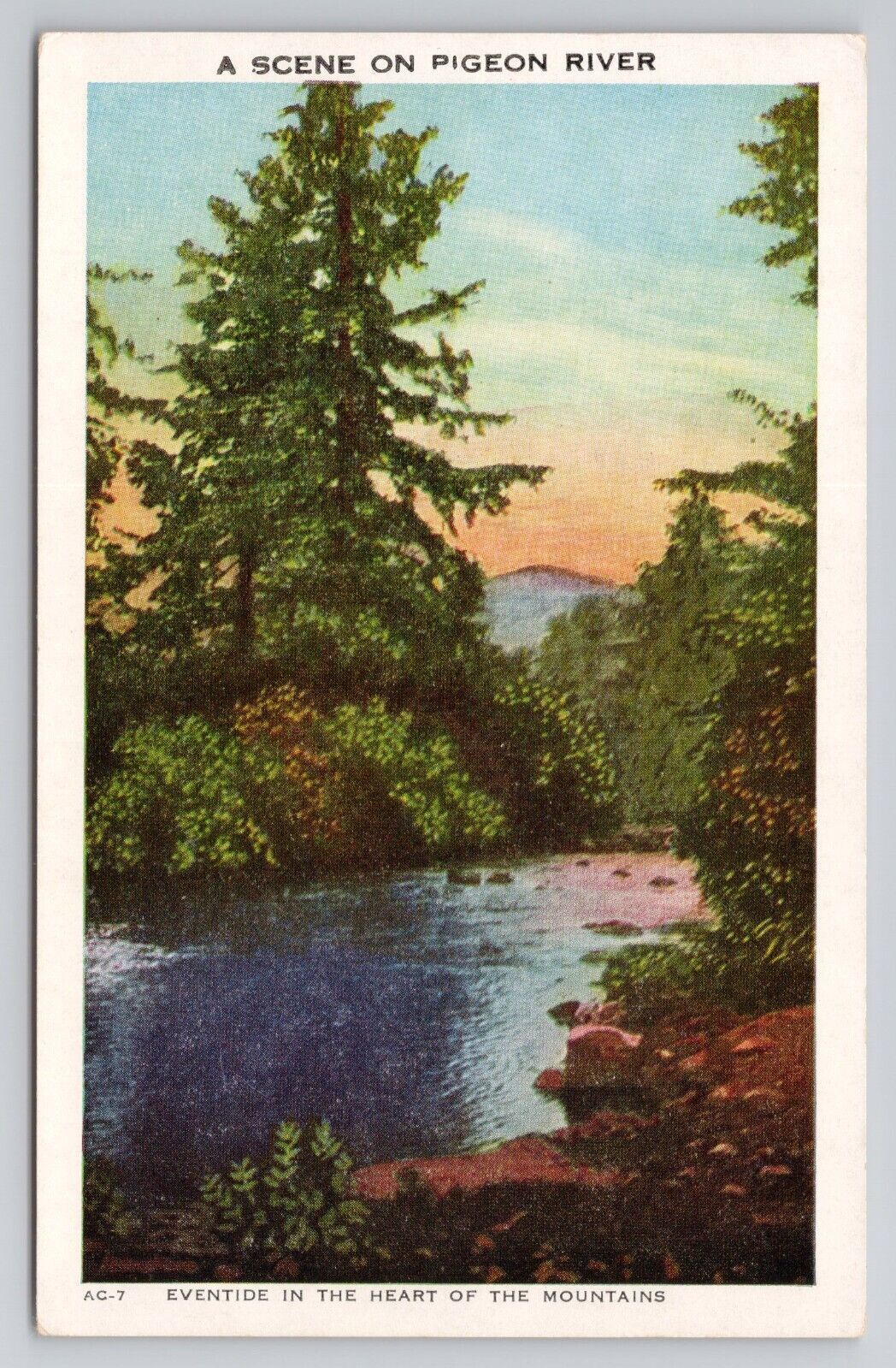 Postcard A Scene On Pigeon River