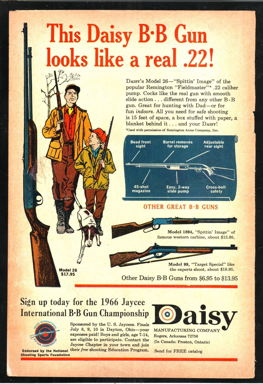 Daisy B-B Gun--Hunting with Dog Scene--1966 Print Ad
