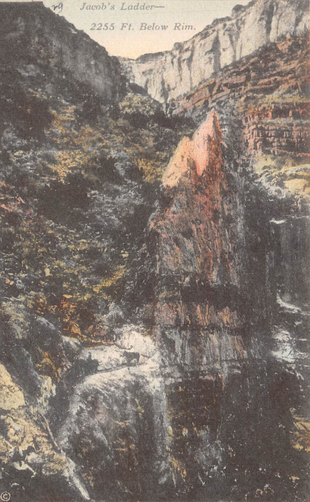 UPICK Postcard Jacob's Ladder Grand Canyon Arizona Unposted c1910