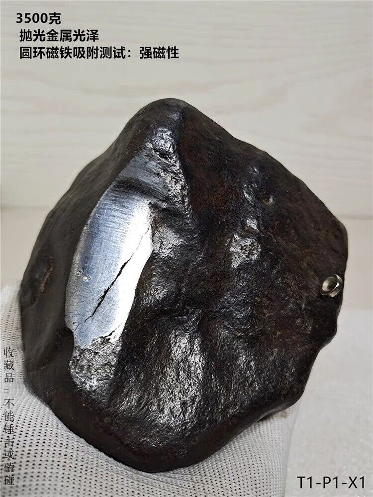 3500g Natural Iron Meteorite Specimen from   China
