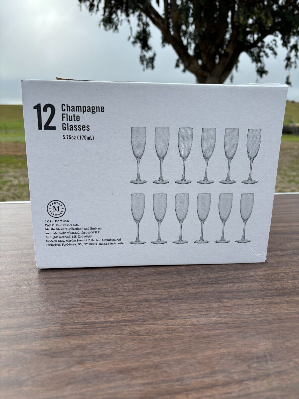 Martha Stewart Champagne Flutes (Set of 12)