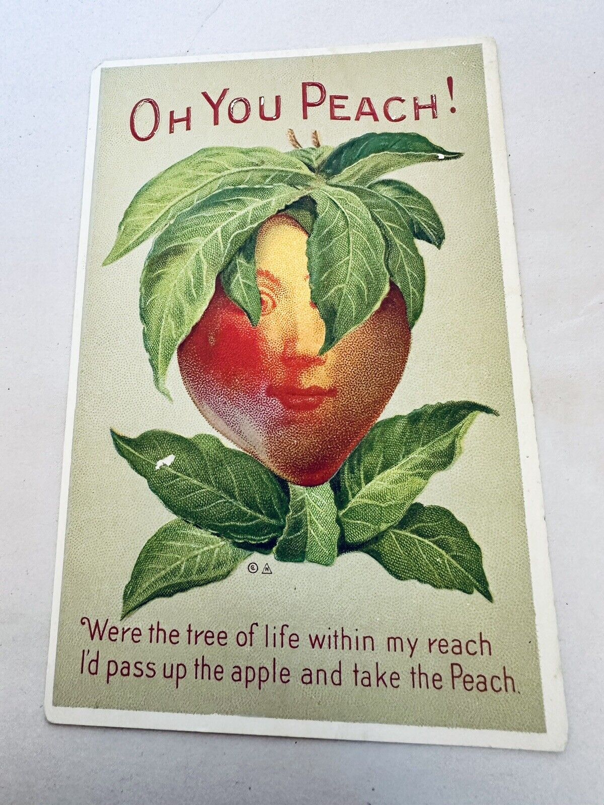 Peach Fantasy Metamorphic Anthropomorphic Peach Head Postcard #505