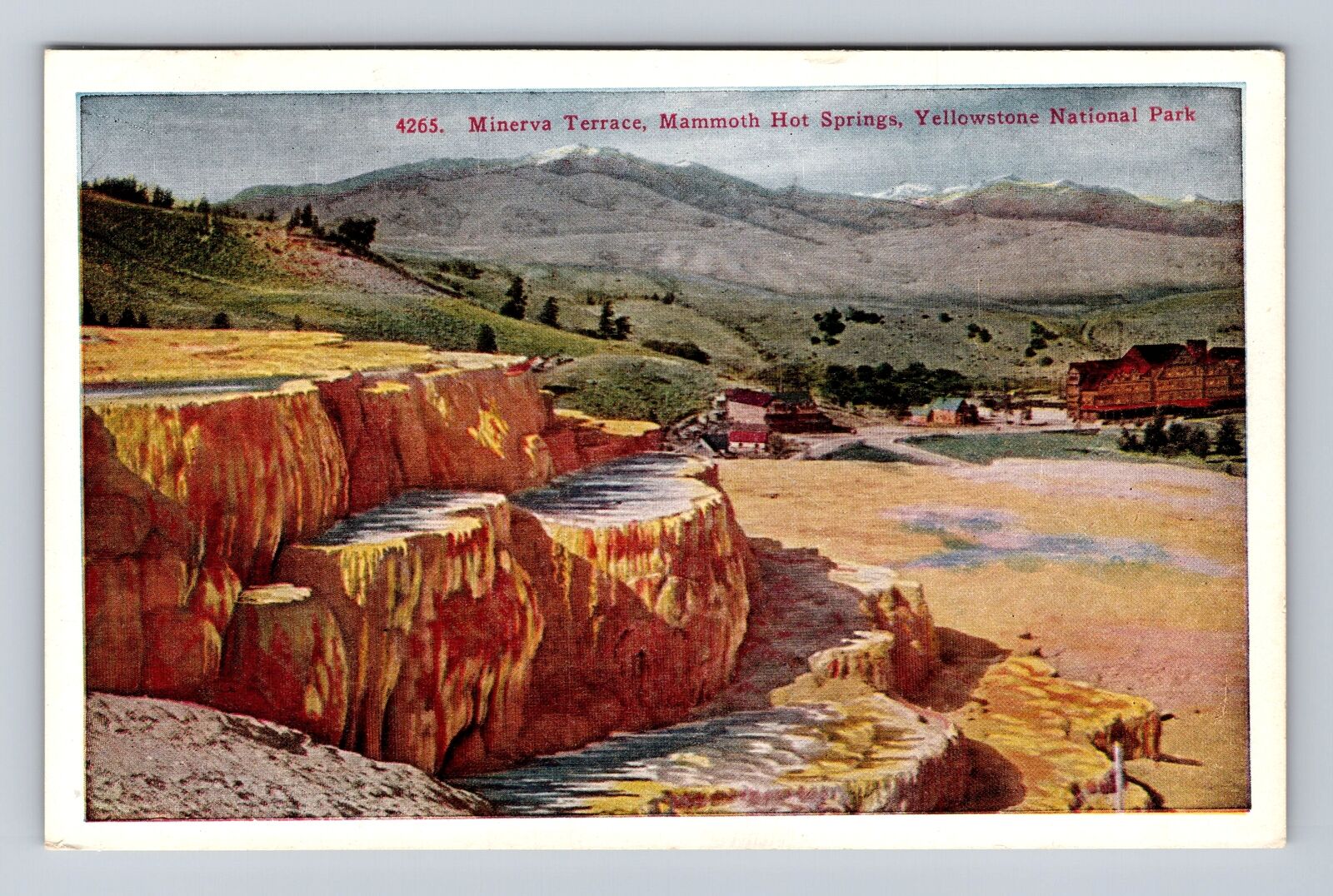 Yellowstone National Park, Minerva Terrace, Series #4265 Vintage Postcard