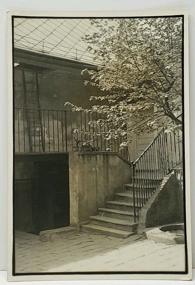 Wien Beethoven House with Spanish Linden Tree RPPC c1930s-40s Postcard J9