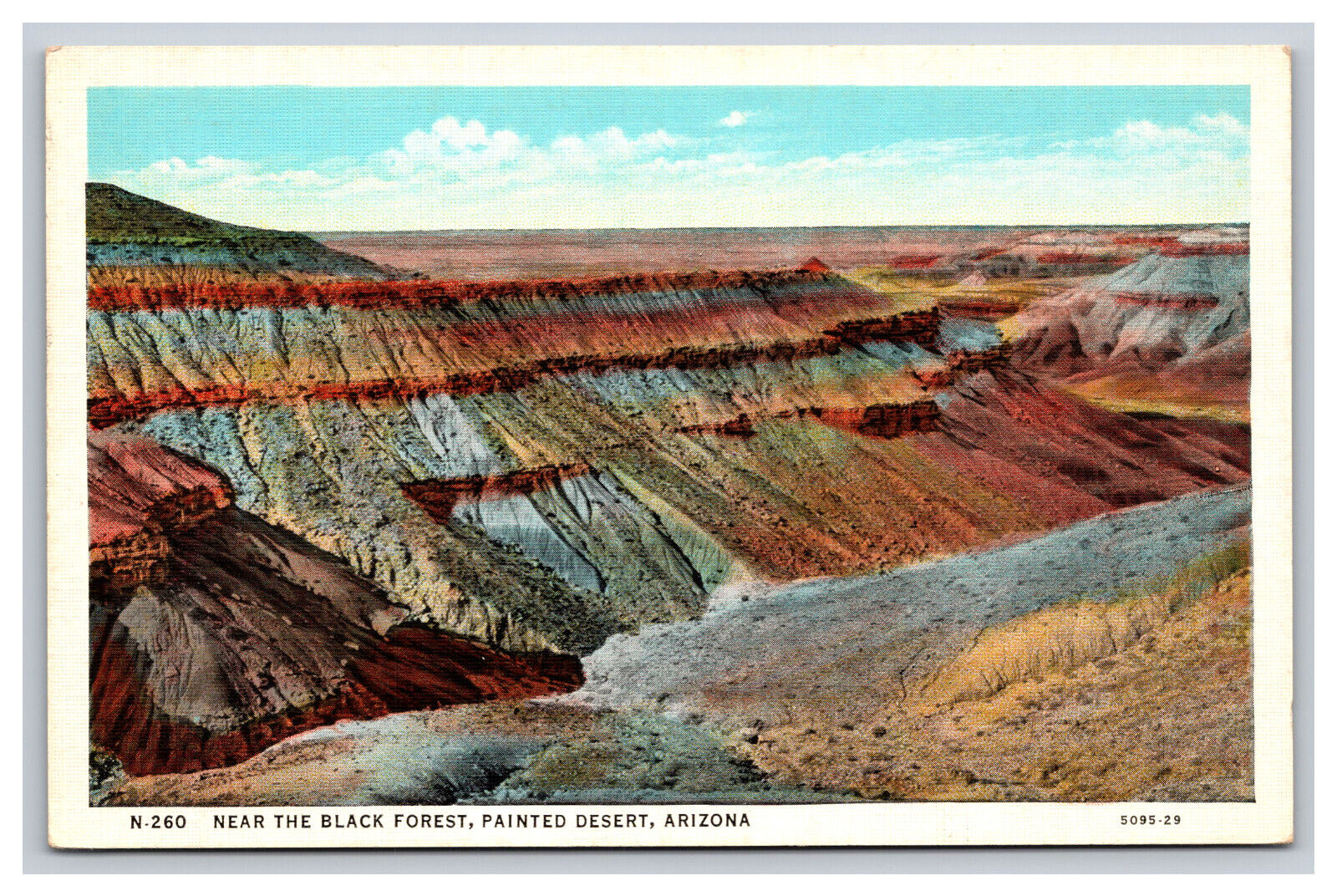 Near The Black Forest, Painted Desert Arizona AZ Postcard