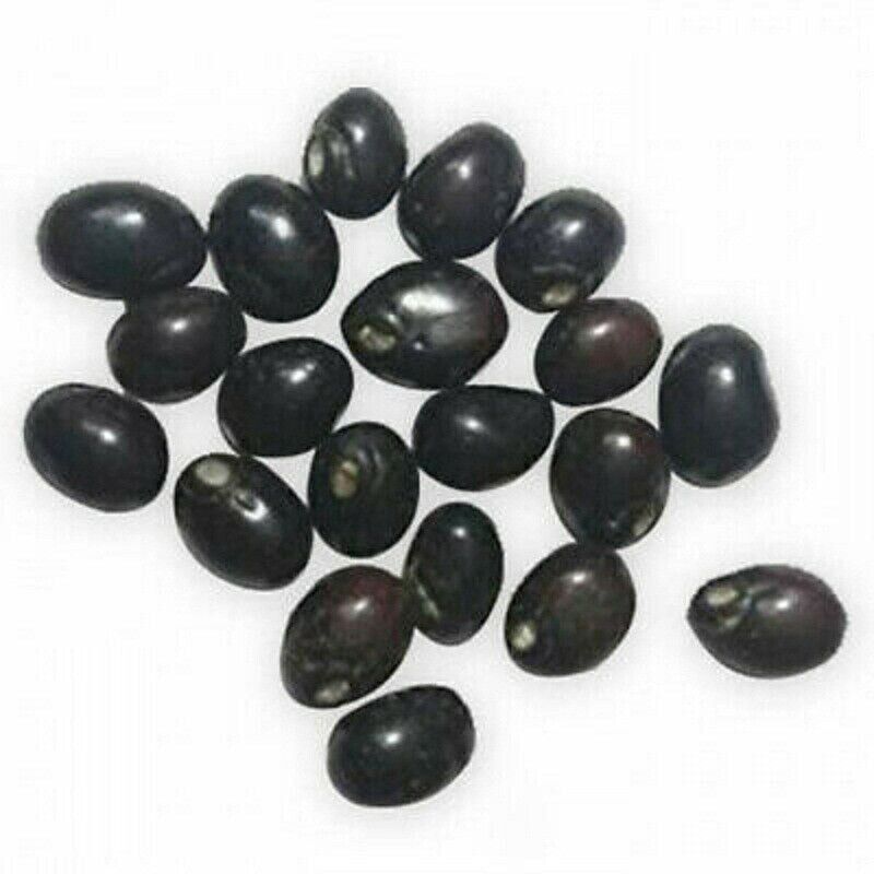 Original Rare Chirmi Seeds Gunja Beads Ratti protect From Black Magic 11 Pcs