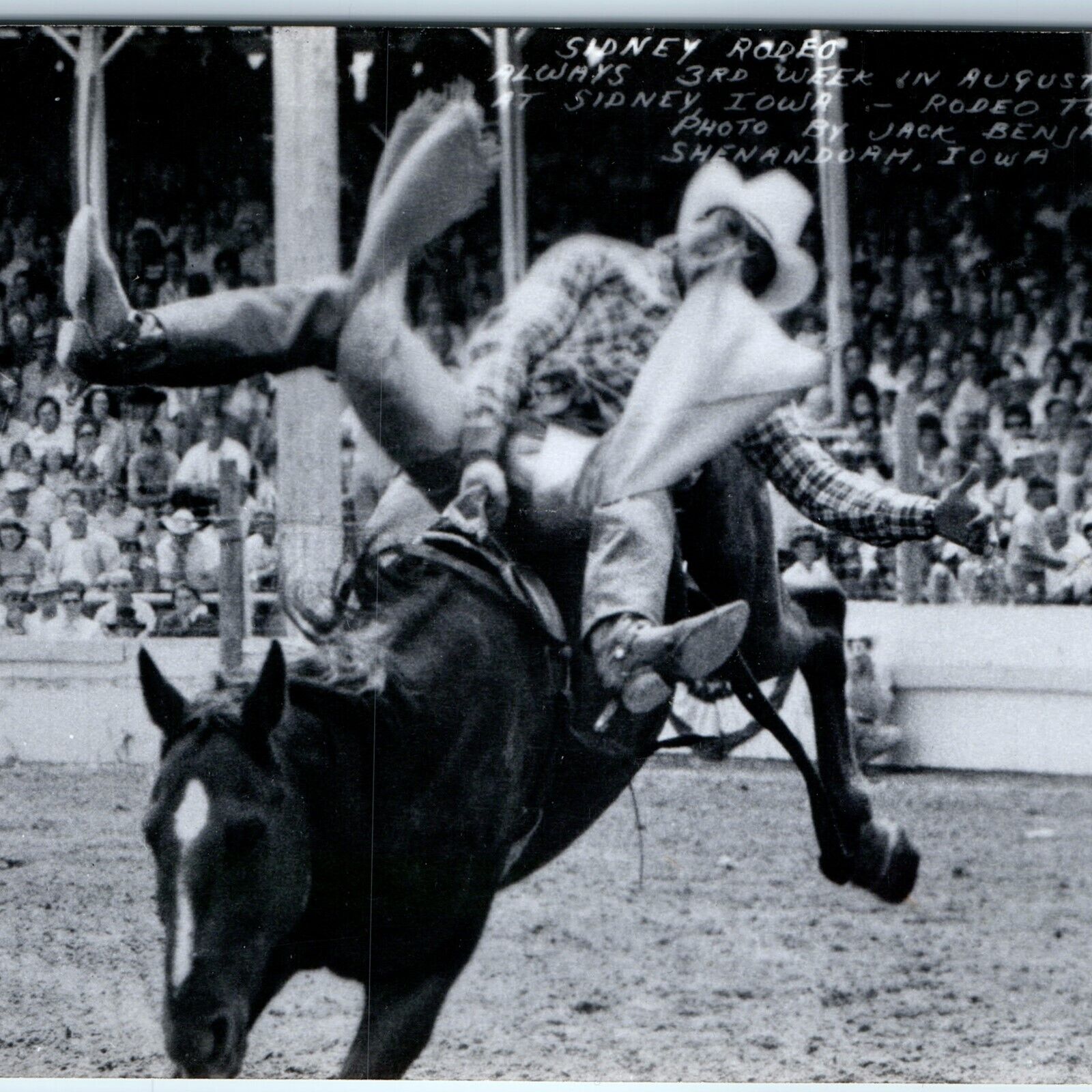 c1950s Sidney IA RPPC Rodeo Town Cowboy Bucking Horse Real Photo Shenandoah A245