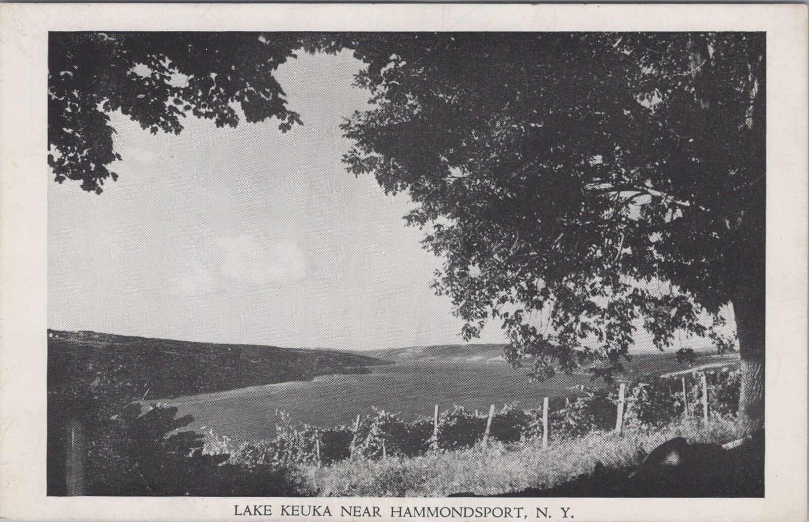 Lake Keuka near Hammondsport, New York Unposted Postcard
