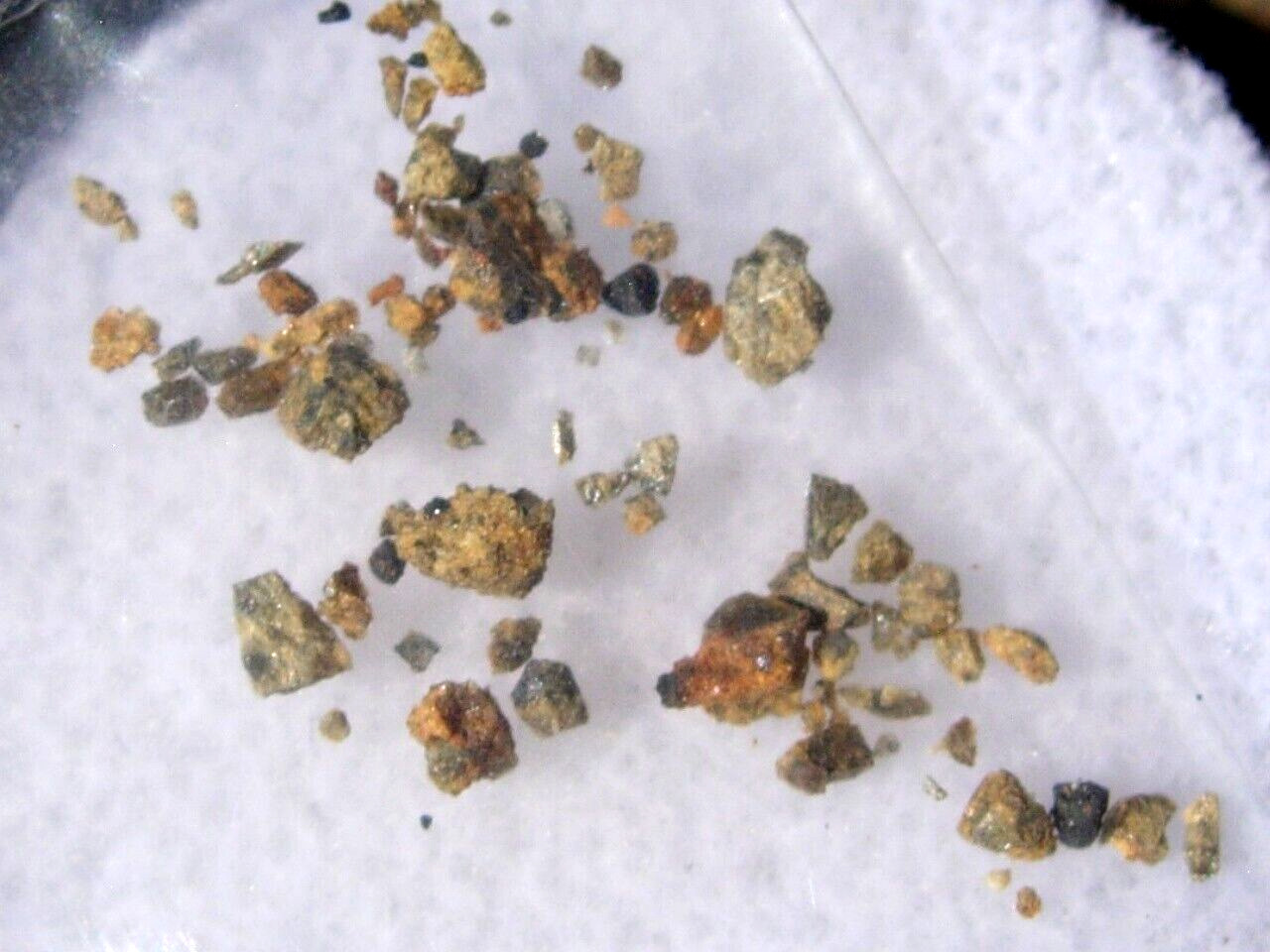 .111 grams NWA 1877 Meteorite Diogenite-an found 2003 / from Greg Hupe my COA