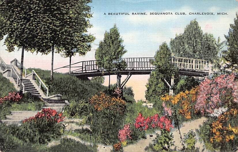 Postcard MI: Ravine, Sequanota Club, Charlevoix, Michigan, Linen, Posted 1941