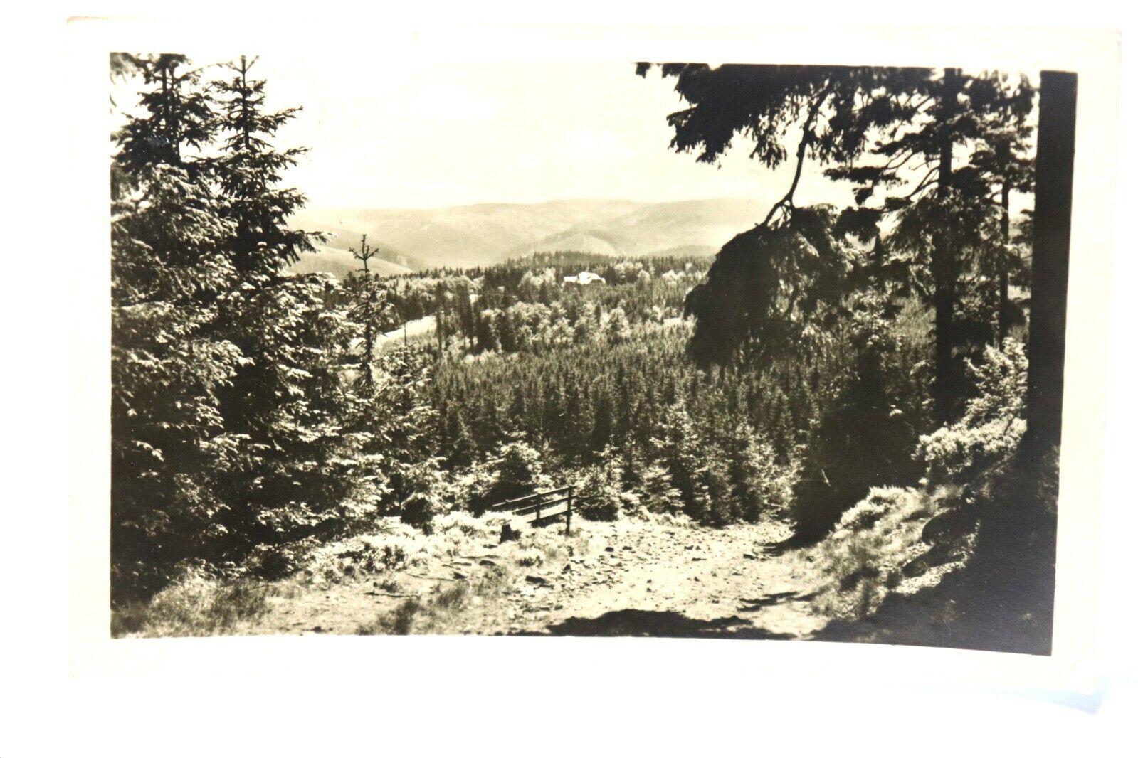 Antique 1915 RPPC Postcard Ilmenau ( Thür.) Blick zum Gabelbach Ansichtskarte