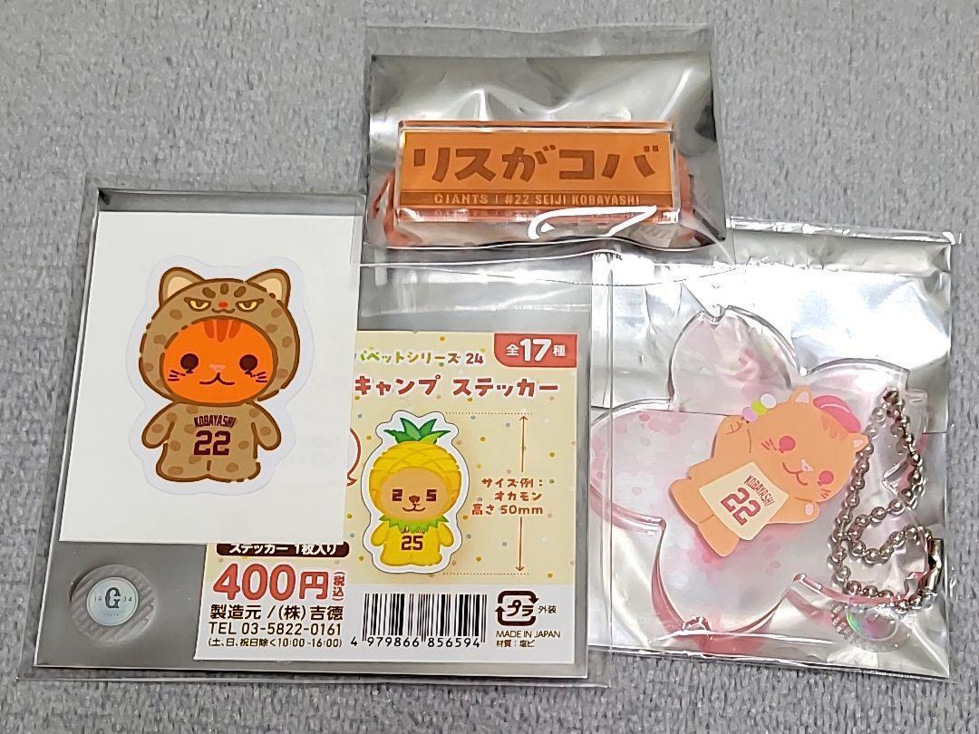 Yomiuri Giants Seiji Kobayashi Squirrel Ga Koba Sticker Acrylic Badge Keychain