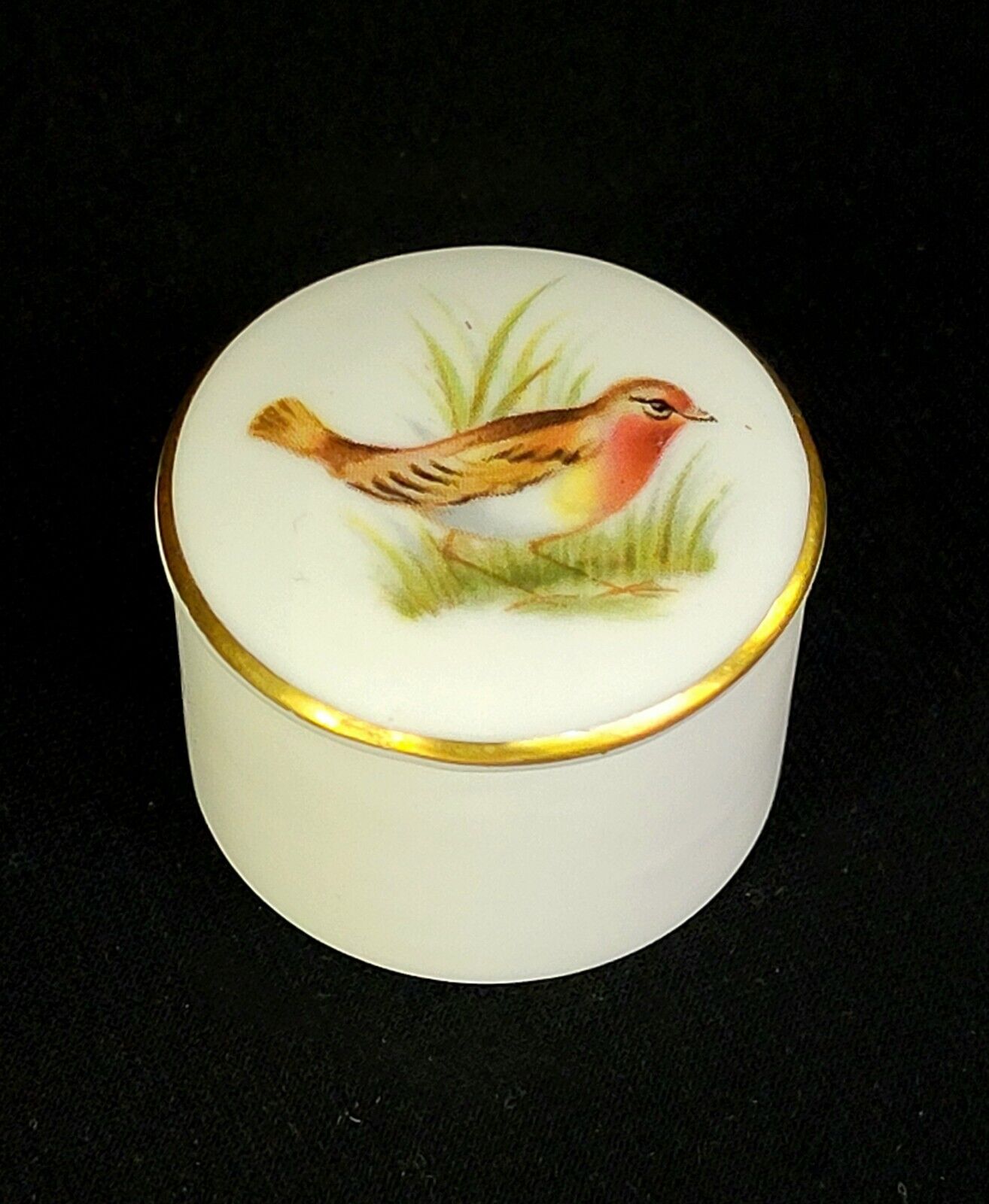 SPODE Fine Bone China Handpainted Bird Small Trinket Box & Lid 1-1/8\